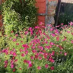Agroturismo Folwark Malinowy Chrusniak Bisztynek