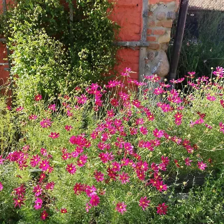 Agroturismo Folwark Malinowy Chrusniak Bisztynek