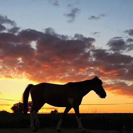 农家乐 Folwark Malinowy Chrusniak