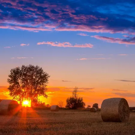 Folwark Malinowy Chrusniak Bisztynek