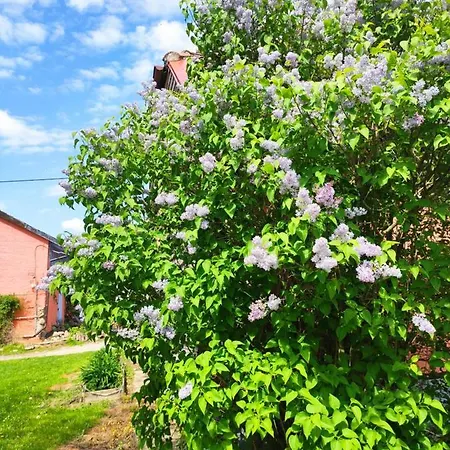 Folwark Malinowy Chrusniak Séjour à la ferme *