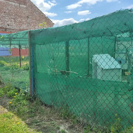 Farm stay Folwark Malinowy Chrusniak *