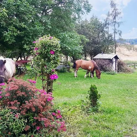 农家乐 Folwark Malinowy Chrusniak *