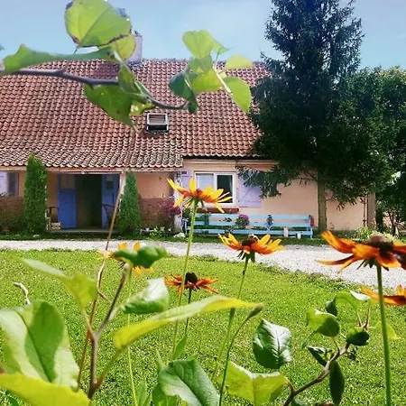 Folwark Malinowy Chrusniak Farm stay *