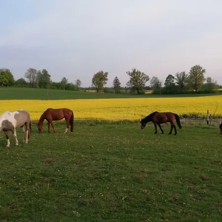 Folwark Malinowy Chrusniak Farm stay