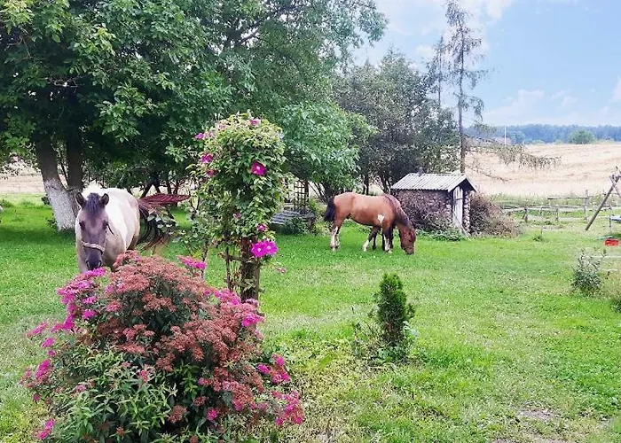 Farm stay Folwark Malinowy Chrusniak *